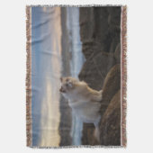 ビーチのRagdoll猫 スローブランケット (正面縦)