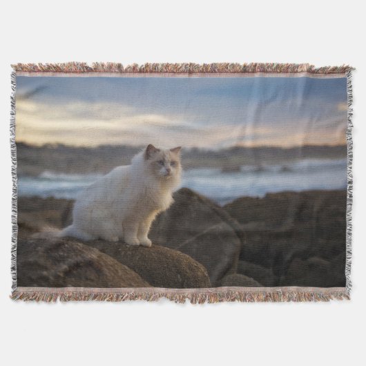 ビーチのRagdoll猫 スローブランケット (正面)