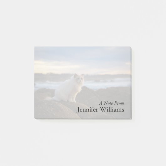 ビーチのRagdoll猫 ポストイット (正面)