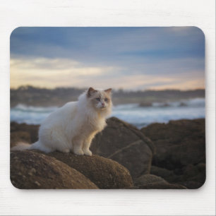 ビーチのRagdoll猫 マウスパッド