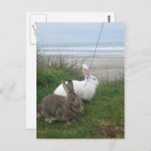 ビーチはがき ポストカード (正面/裏面)