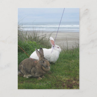 ビーチはがき ポストカード