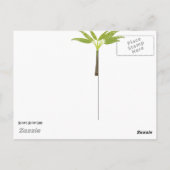 ビーチはがき ポストカード (裏面)