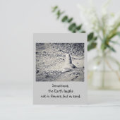 ビーチは？ ポストカード (スタンド正面)