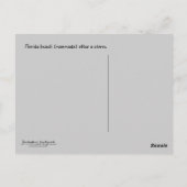 ビーチは？ ポストカード (裏面)