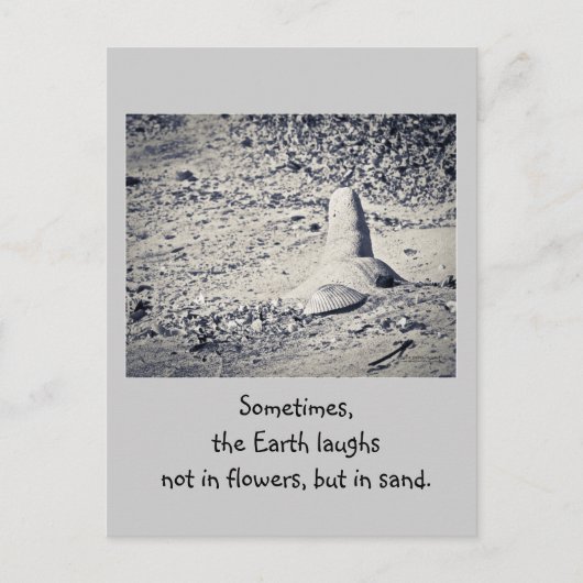 ビーチは？ ポストカード (正面)