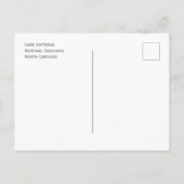 ビーチはCape Hatteras National Seasoe, NC ポストカード (裏面)