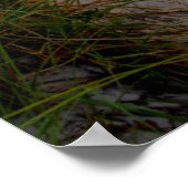 ビーチへのパス ポスター (角)