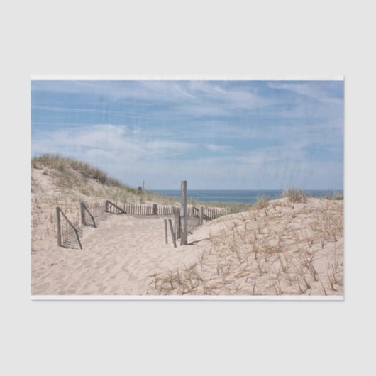 ビーチへの砂の道 薄葉紙 (正面)