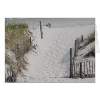 ビーチへ行くこと