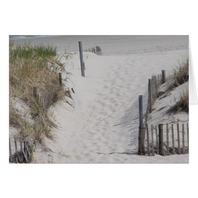 ビーチへ行くこと (正面横)