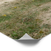 ビーチへ ポスター (角)