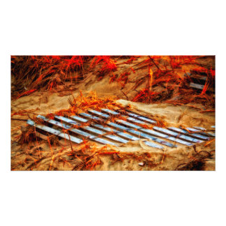 ビーチを取り戻す フォトプリント           