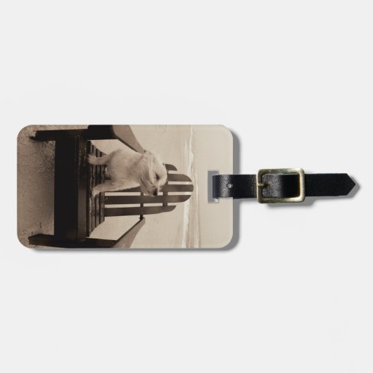 ビーチを楽しんでいる犬 ラゲッジタグ (正面横)