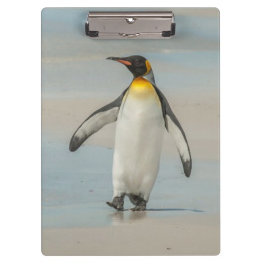 ビーチを歩くペンギン クリップボード (正面)