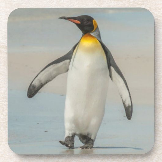 ビーチを歩くペンギン コースター (正面)