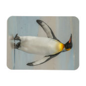 ビーチを歩くペンギン マグネット (横)