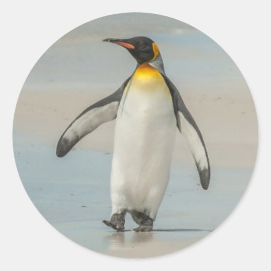 ビーチを歩くペンギン ラウンドシール (正面)
