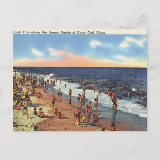 ビーチアットケープコッド ポストカード (正面)