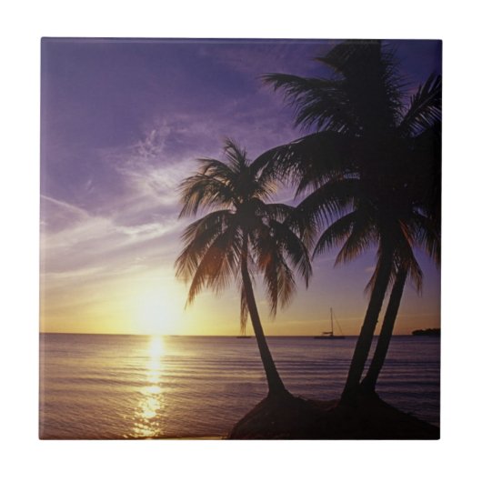 ビーチアットネグリル，ジャマイカ タイル (正面)