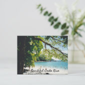 ビーチアットマニュエルアントニオ ポストカード (スタンド正面)