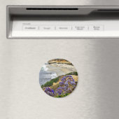 ビーチアットラジョラコーブ マグネット (インサイチュ (食洗機))