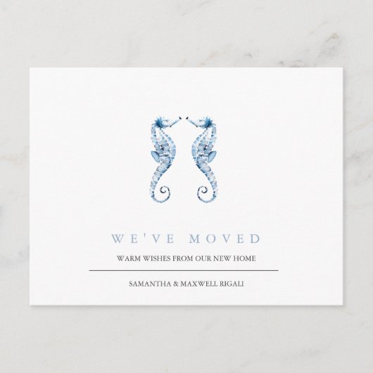 ビーチアドレスの変更ダスティブルーシーホース ポストカード (正面)