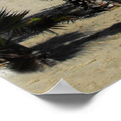 ビーチアンドパームズアットプエルトバヌス ポスター (角)