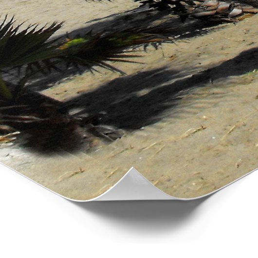 ビーチアンドパームズアットプエルトバヌス ポスター (角)