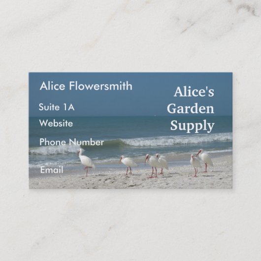 ビーチイビス名刺 名刺 (正面)