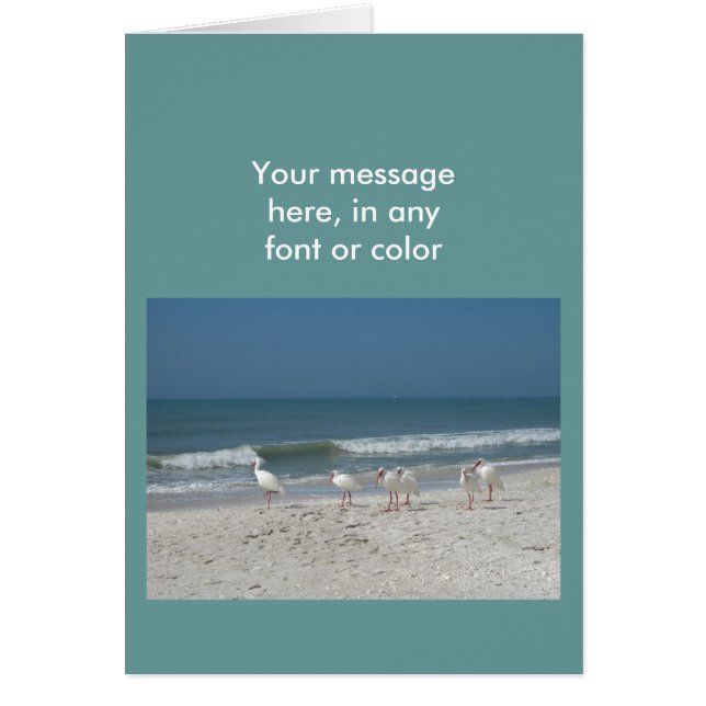 ビーチイビス (正面)