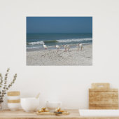 ビーチイビス ポスター (キッチン)