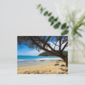 ビーチインカウアイ ポストカード (スタンド正面)