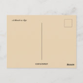 ビーチイン・フィジー ポストカード (裏面)