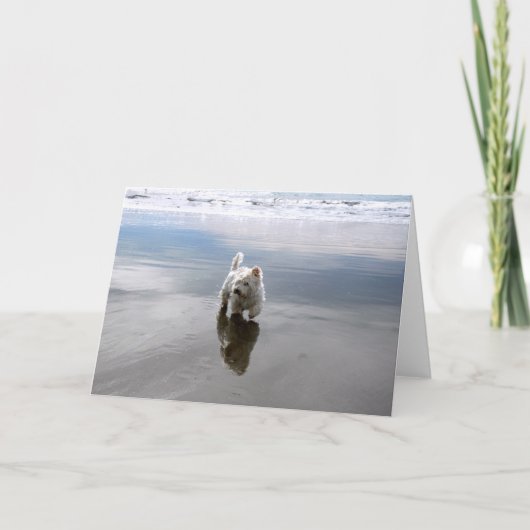 ビーチウェスティリフレクションフォトグリーティングカード サンキューカード (正面)