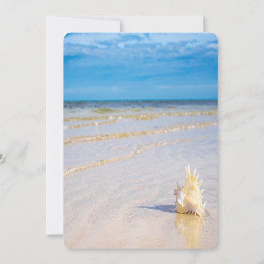 ビーチウェーブズシーシェ結婚ル 招待状 (裏面)