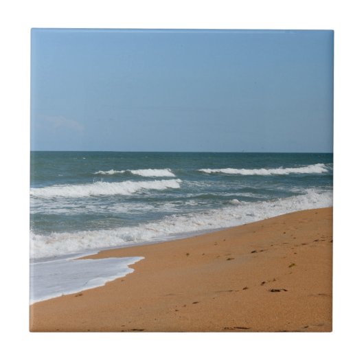 ビーチウェーブズシーショアシースケープ タイル (正面)