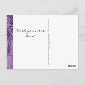 ビーチウォーカーCollage Violetフォトフレーム ポストカード (裏面)