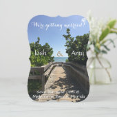 ビーチウォーク・セーブ・ザ・デート セーブザデート (スタンド正面)