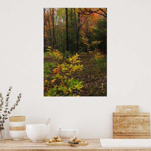 ビーチウッズ ポスター (キッチン)