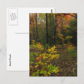 ビーチウッズ ポストカード (正面/裏面)