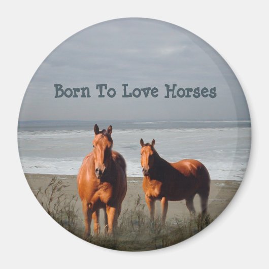 ビーチウマ磁石 マグネット (正面)