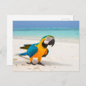 ビーチオウム ポストカード (正面/裏面)