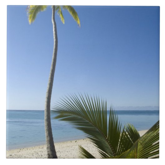 ビーチオンアイタキ調理師諸島 タイル (正面)