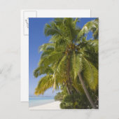 ビーチオン・ワン足島,アイツタキ,調理師諸島 ポストカード (正面/裏面)