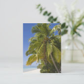 ビーチオン・ワン足島,アイツタキ,調理師諸島 ポストカード (スタンド正面)