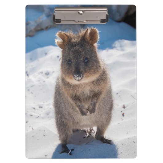 ビーチオーストラリアのかわいく、幸せなQuokka クリップボード (正面)
