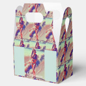 ビーチガールサンダー_コーブ フェイバーボックス (オープン)