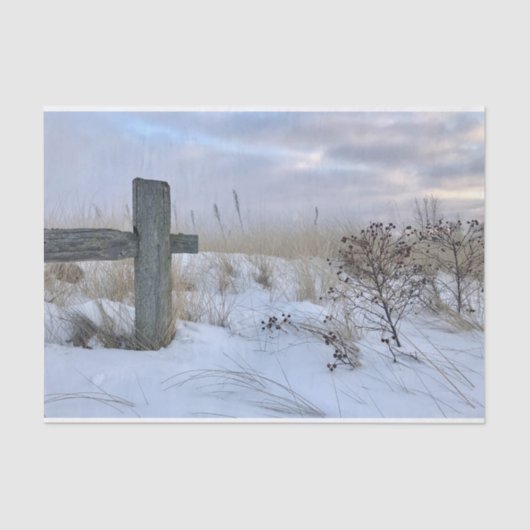 ビーチギフトラップティッシュペーパー 薄葉紙 (正面)