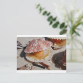 ビーチクラス ポストカード (スタンド正面)